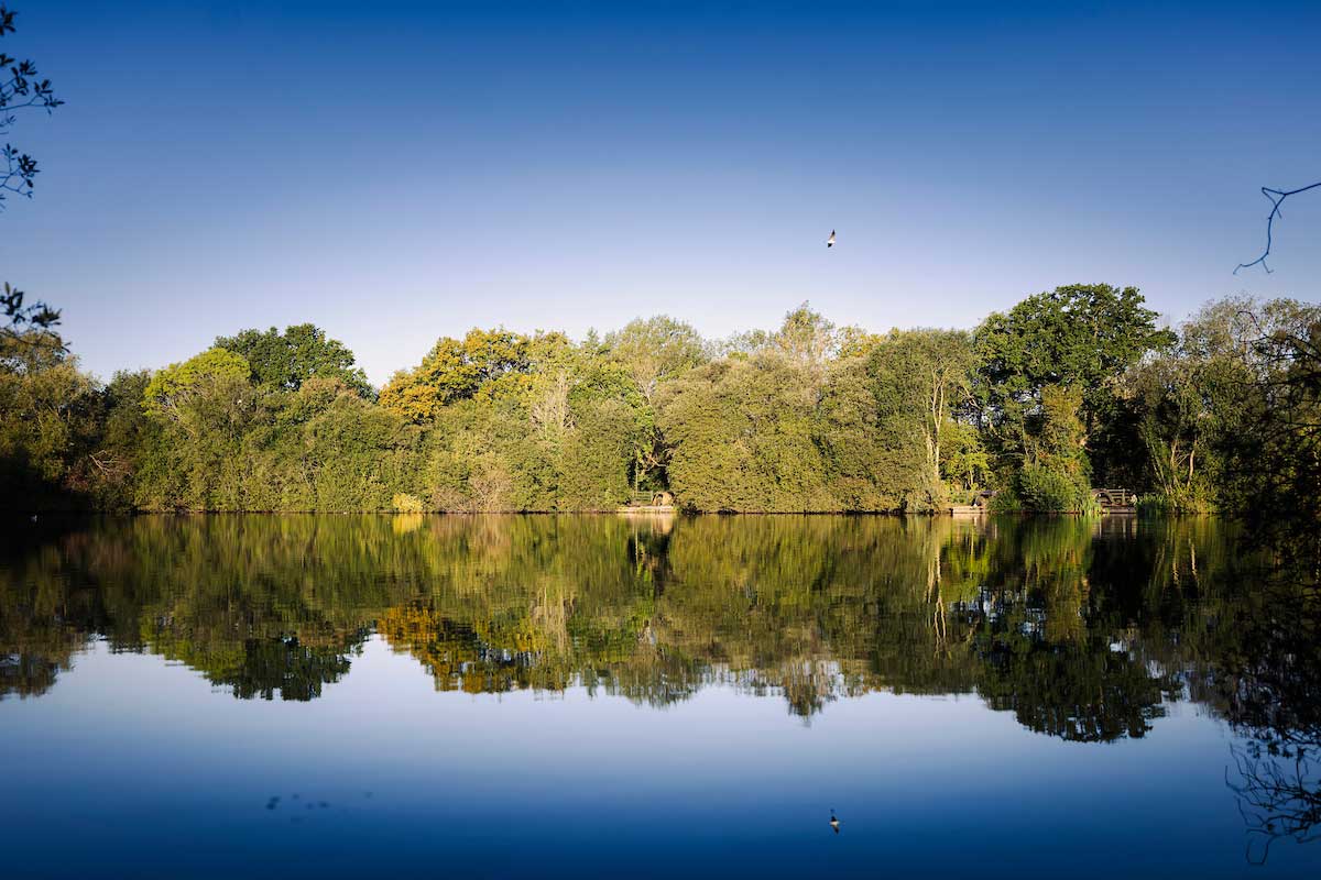 A calm summer's day at Yateley Common