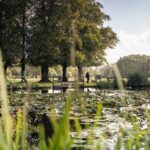 Yateley Common: A Walker’s Guide